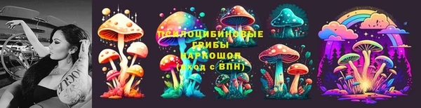 амф Богданович